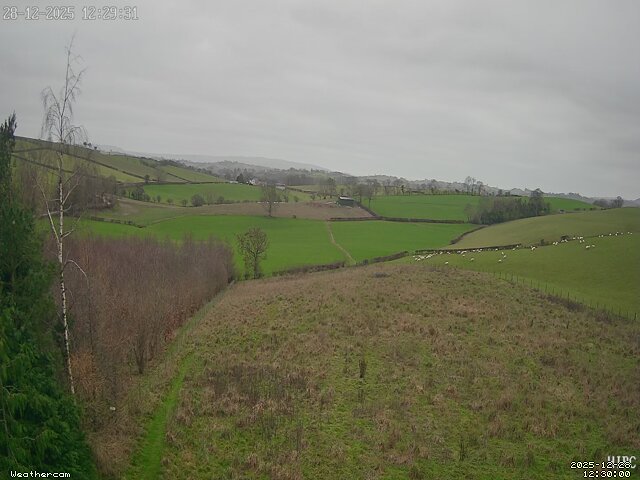 Latest weathercam still